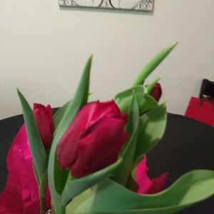 Meet your Posher, Dorothy